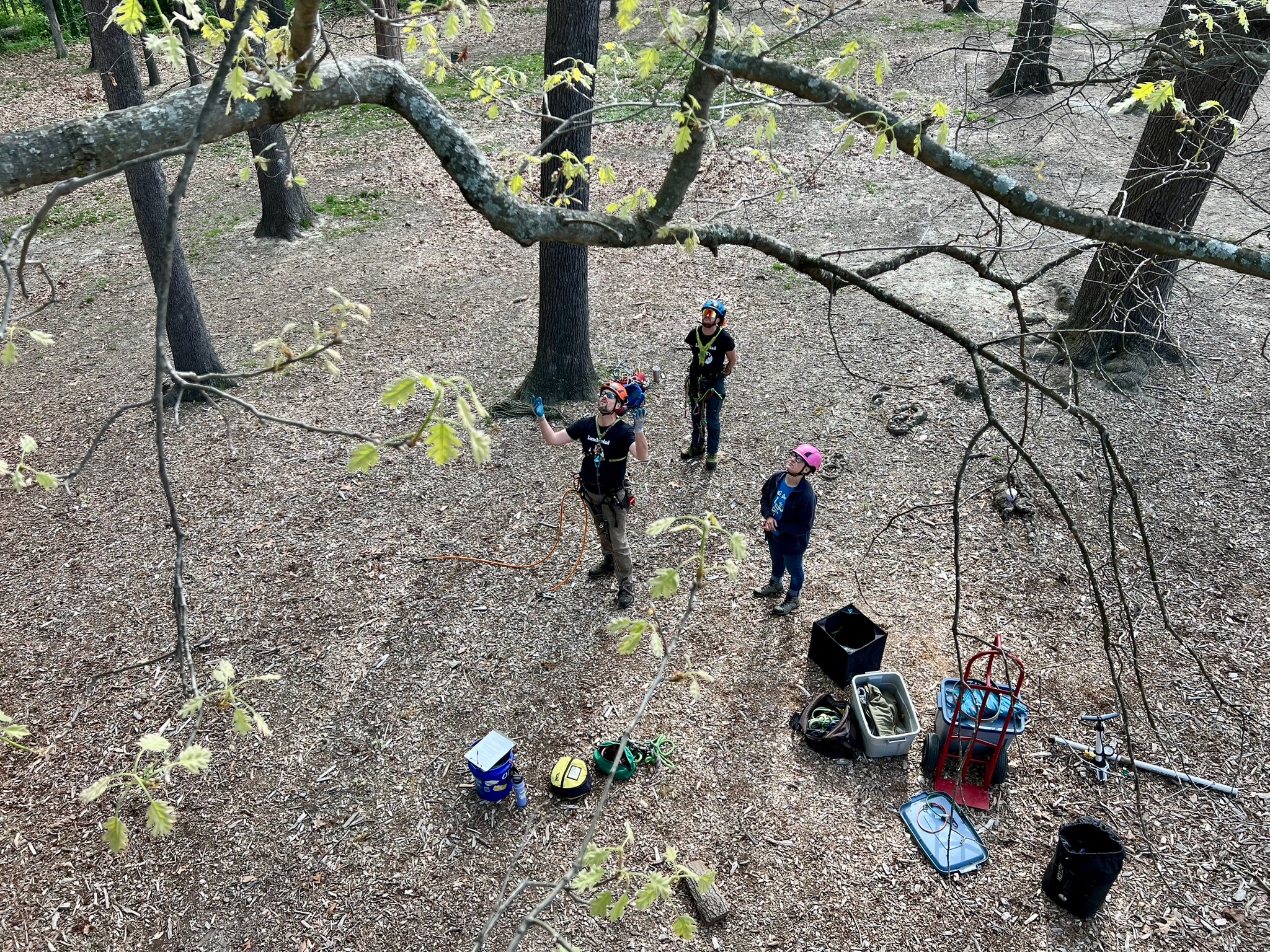 Aerial Rescue Training