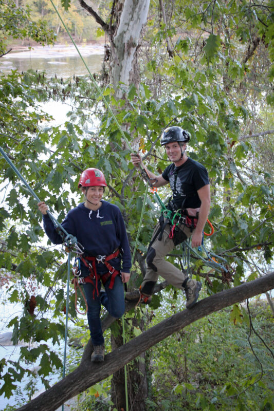 Professional Tree Climbing