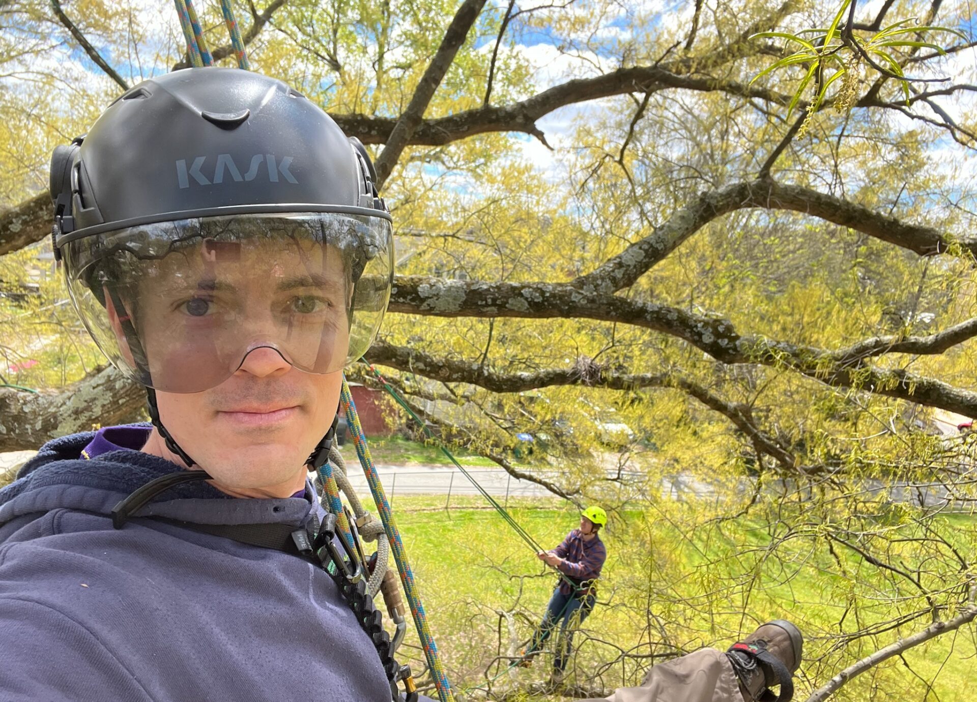 Professional Climbing and Aerial Rescue Training